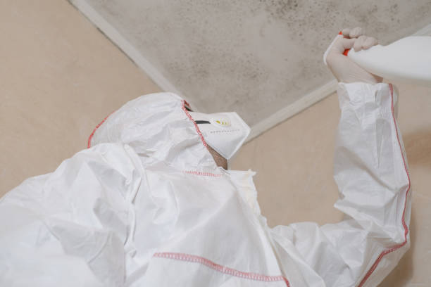 Best Black Mold Remediation in Centerburg, OH